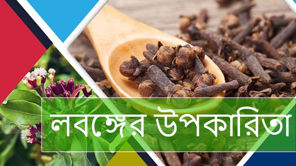 লবঙ্গের উপকারিতা